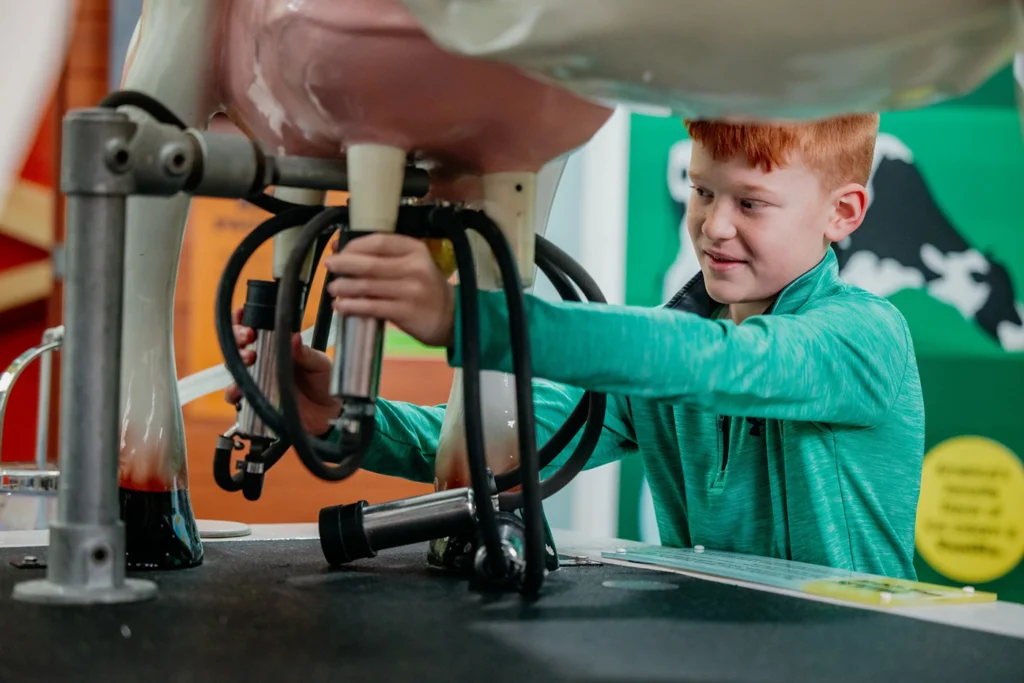 boy in green shirt works milking machine in agzibit